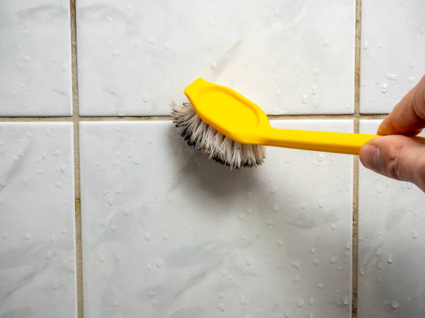 Best Affordable Mold Removal  in Emerson, GA