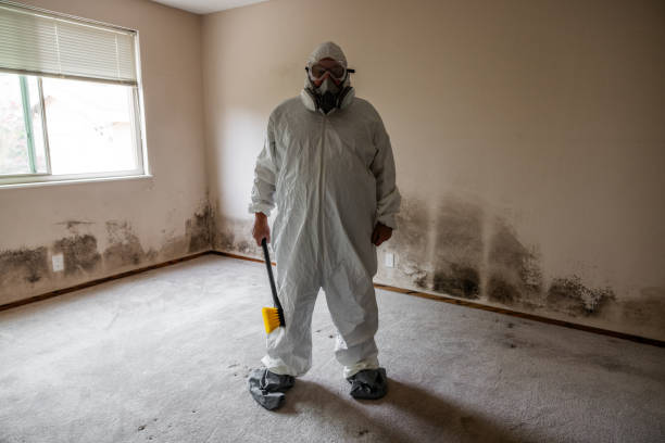 Best Toxic Mold Removal  in Emerson, GA